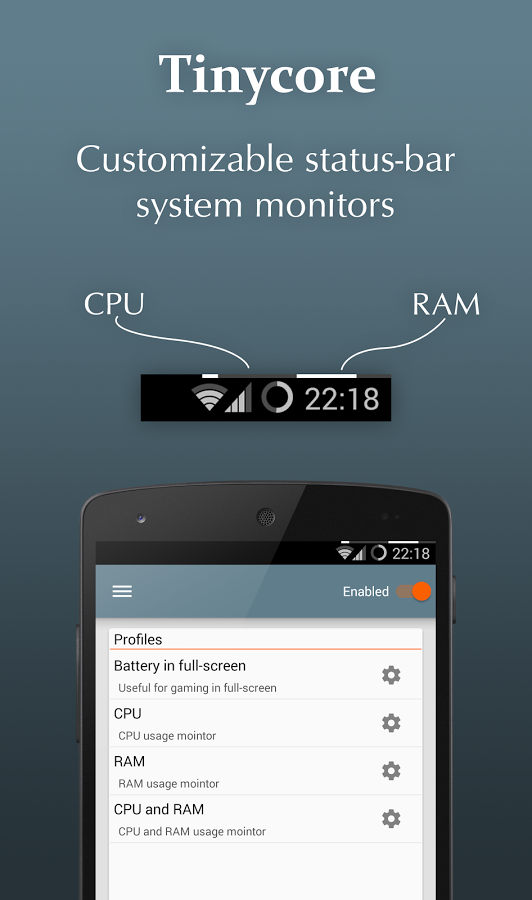 Ram Monitor