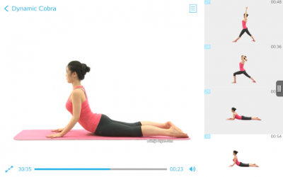 Daily Yoga - Fitness On-the-Go