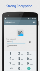 SafeInCloud Password Manager