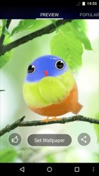 Cute Bird Live Wallpaper