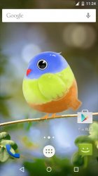 Cute Bird Live Wallpaper