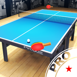 Pro Arena Table Tennis
