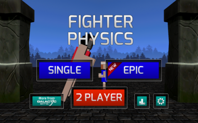 Fighter Physics