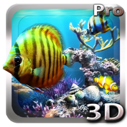 Tropical Ocean 3D LWP