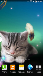 Sleepy Kitten Live Wallpaper