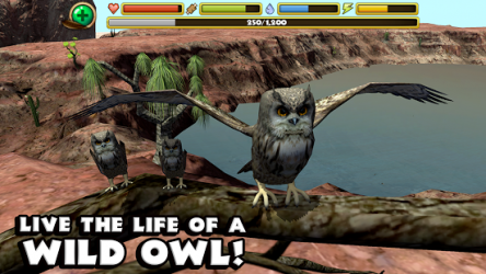 Owl Simulator