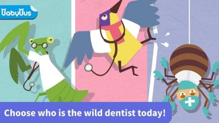 Dr. Jungle - Animal Dentistry