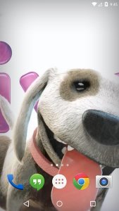 Puppy Licks Screen Animation