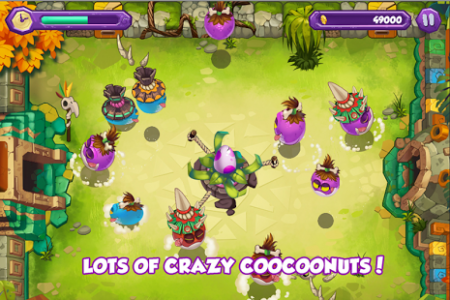Coocoonuts