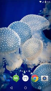 Jellyfish Medusa Live Wallpaper