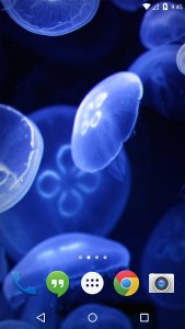 Jellyfish Medusa Live Wallpaper