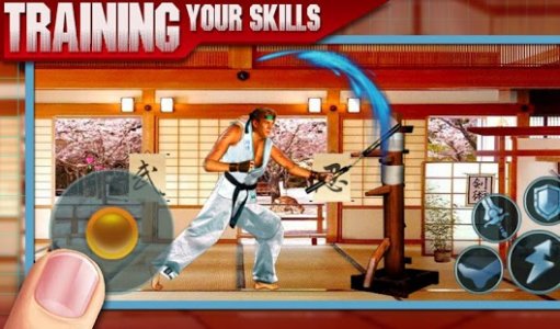 Ninja Kungfu & Street of Fight