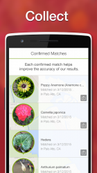 LikeThat Garden -Flower Search