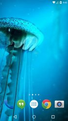Night Light Jelly Fish 3D LWP