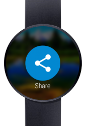 Photo Gallery for Android Wear