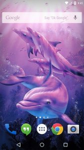 Ocean Dolphins Live Wallpaper