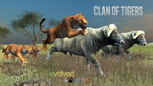 Clan of Tigers