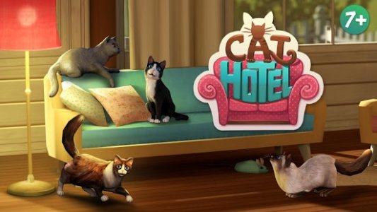 CatHotel - Hotel for cute cats