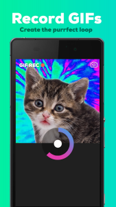 GIPHY CAM. The GIF Camera
