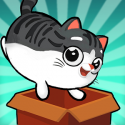 Kitty in the Box 2