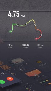 Runtopia running GPS track
