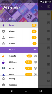Auracle Music Player (Unreleased)