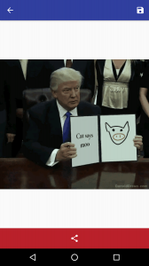  Donald Draws Executive Doodle