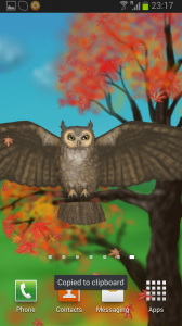 Owl of a Season Live Wallpaper