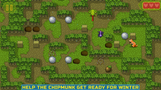 Chipmunk's Adventures - Puzzle