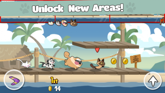Pets Race - Fun Multiplayer Racing with Friends
